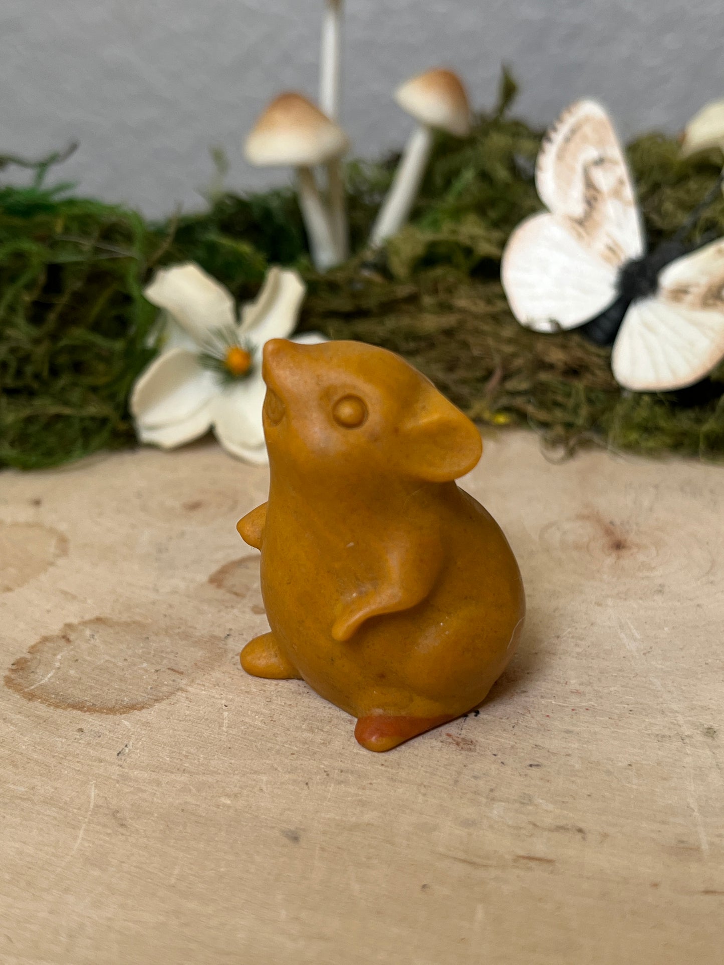 Mouse