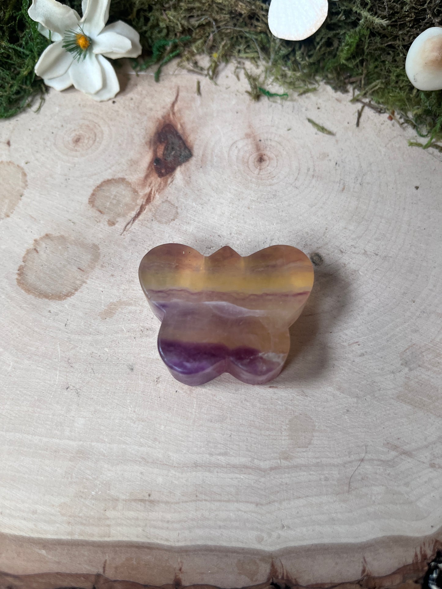 Fluorite Butterfly