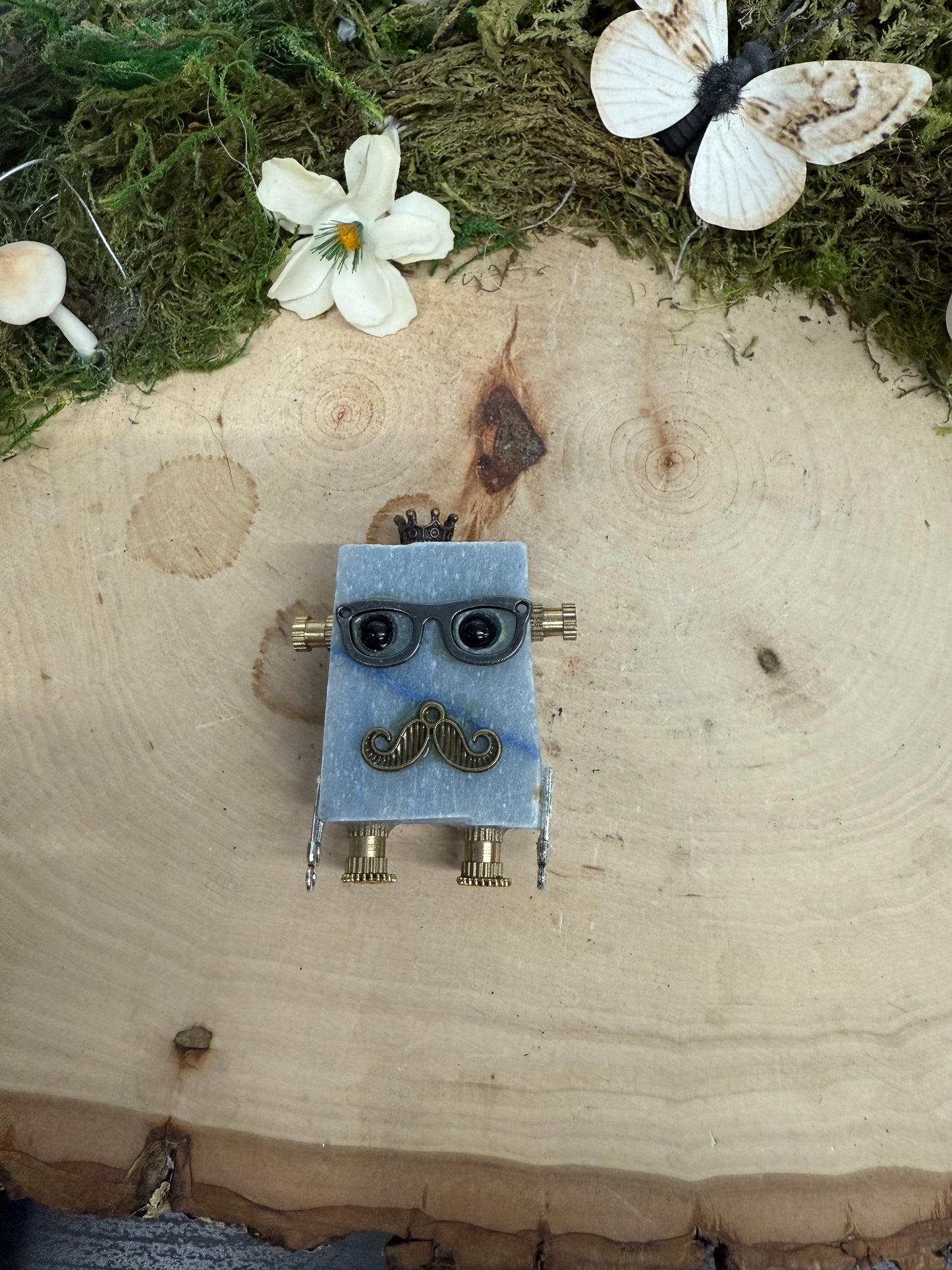 Robot Buddy