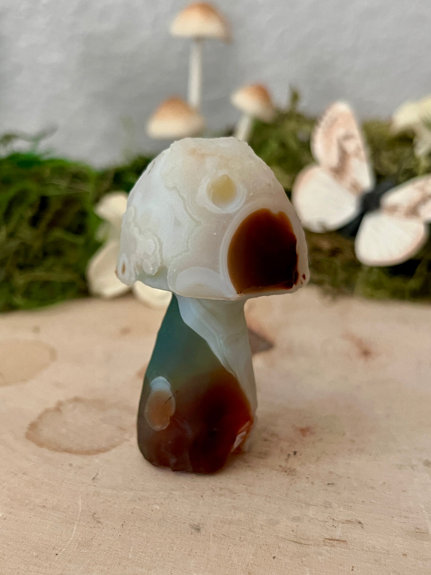 Gobi Agate Mushroom