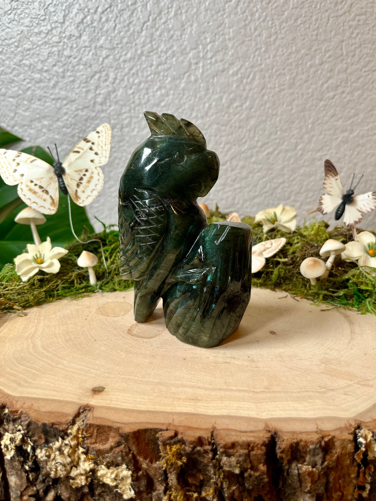 Labradorite Parrot