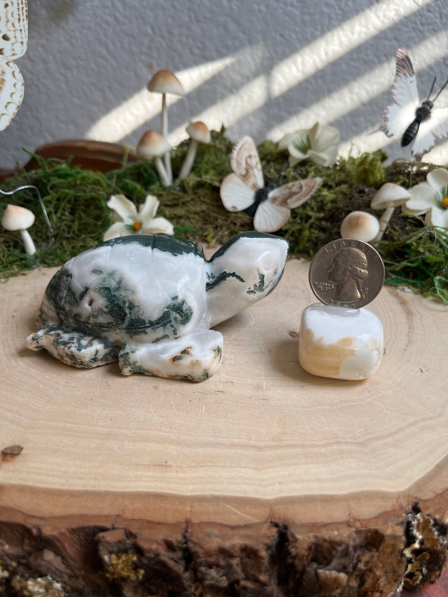 Moss Agate Sea Turtle