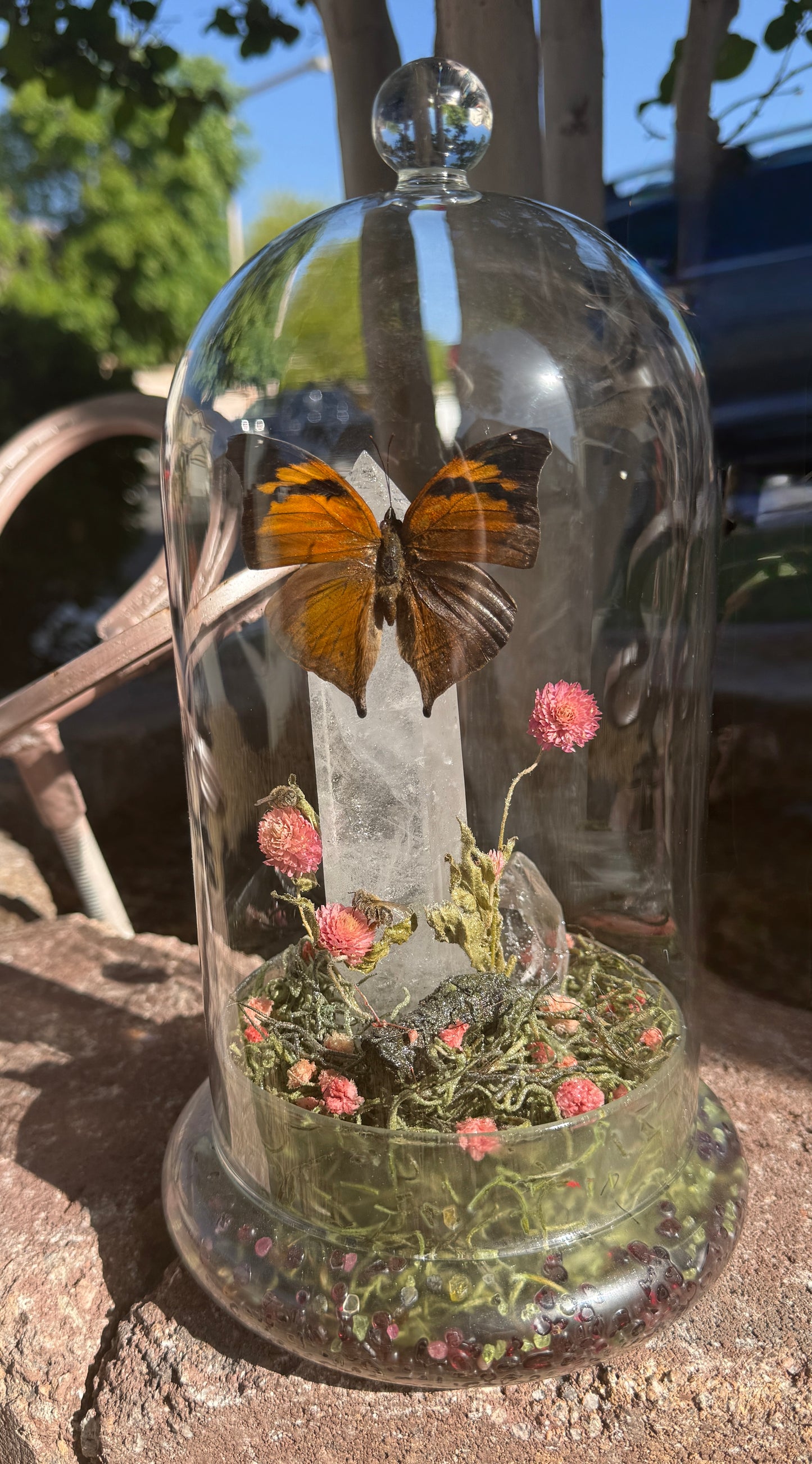 Clear Quartz Butterfly Terrarium