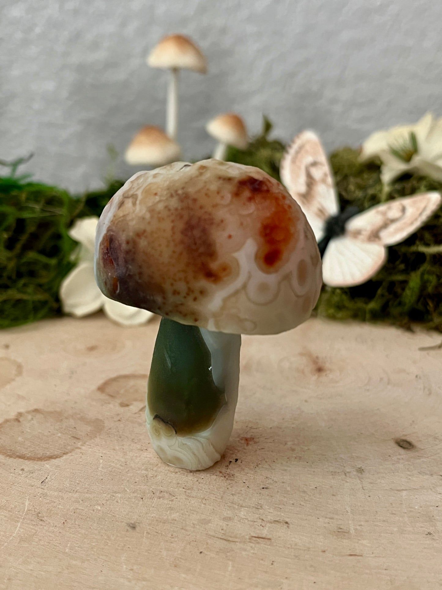 Gobi Agate Mushroom