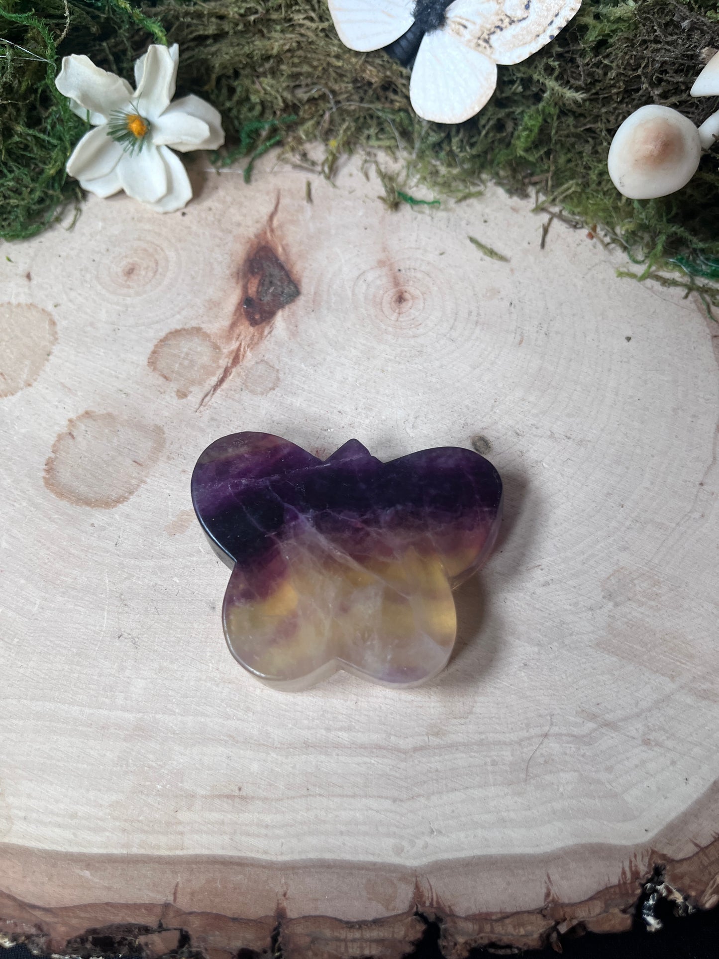 Fluorite Butterfly