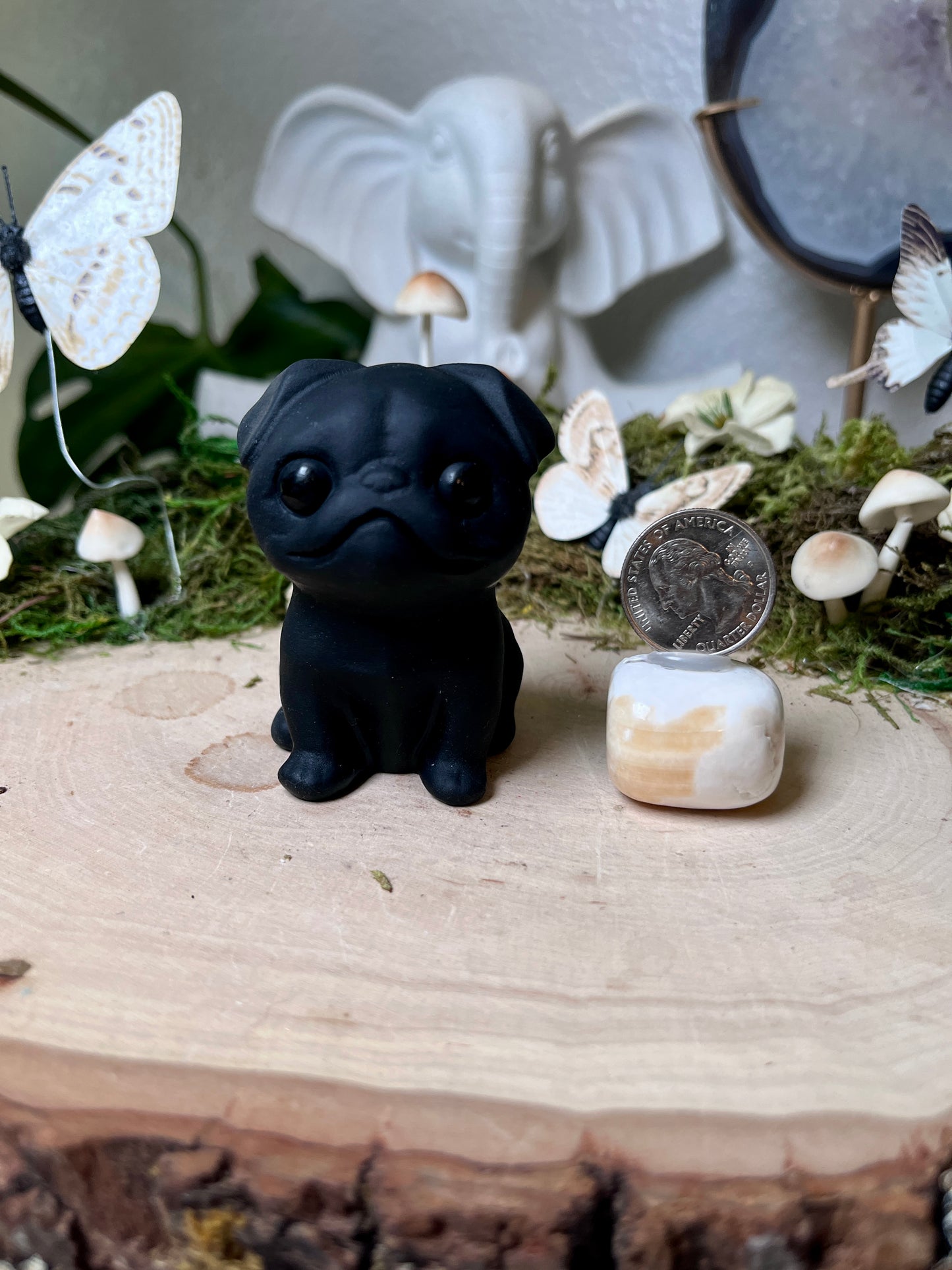 Obsidian Pug