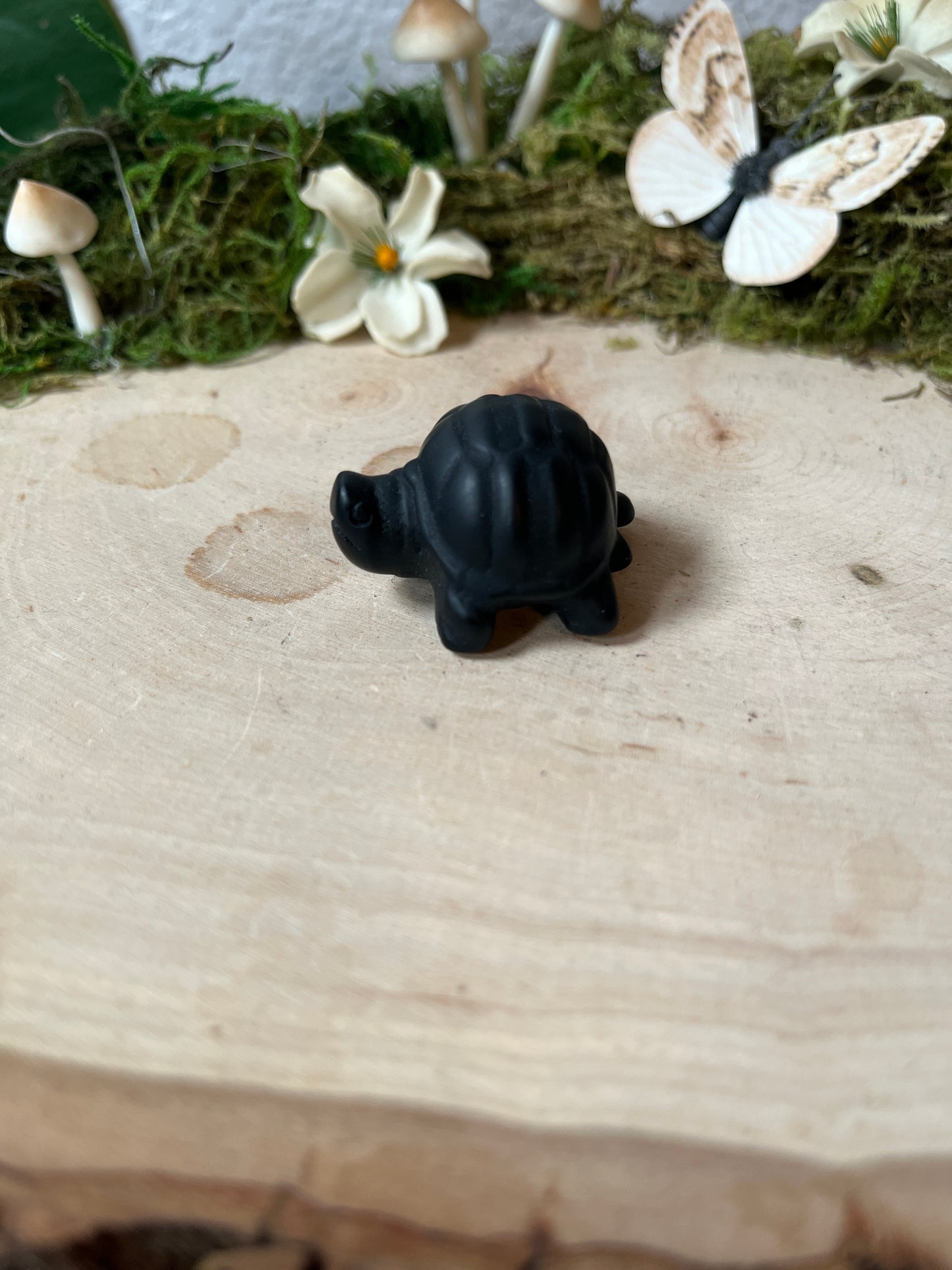 Obsidian Turtle