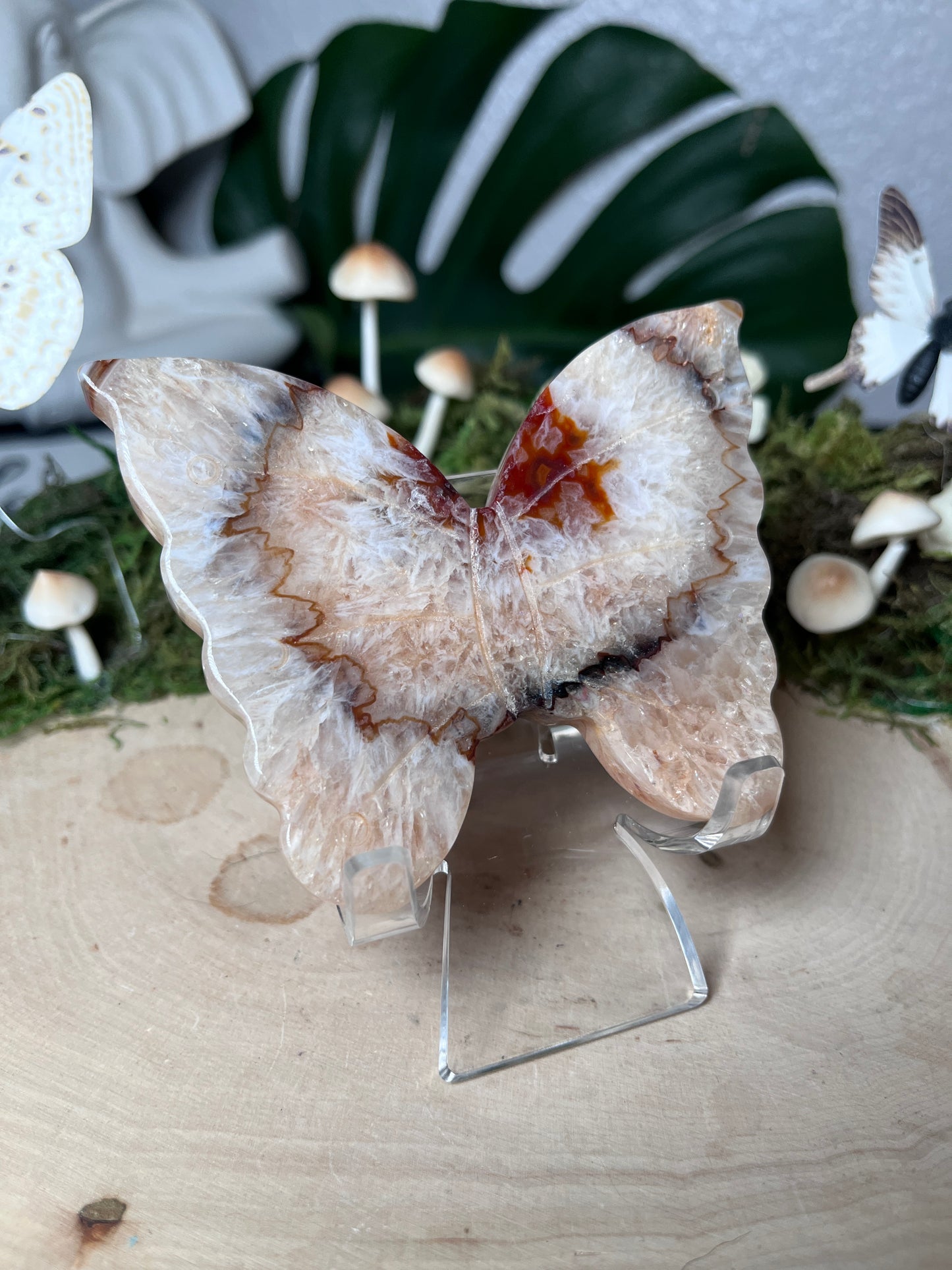 Carnelian Butterfly with Stand