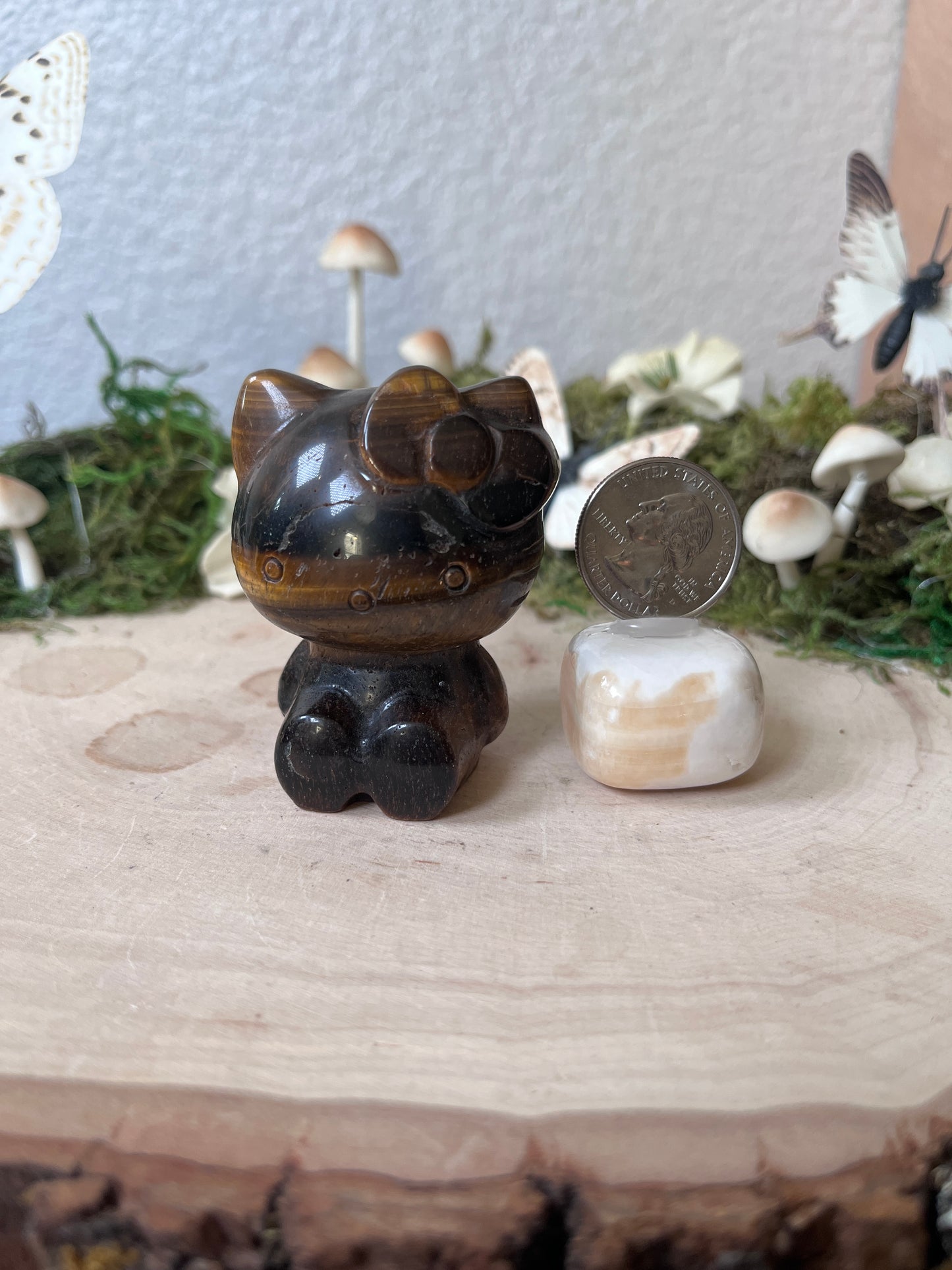 Tigers eye Hello Cat