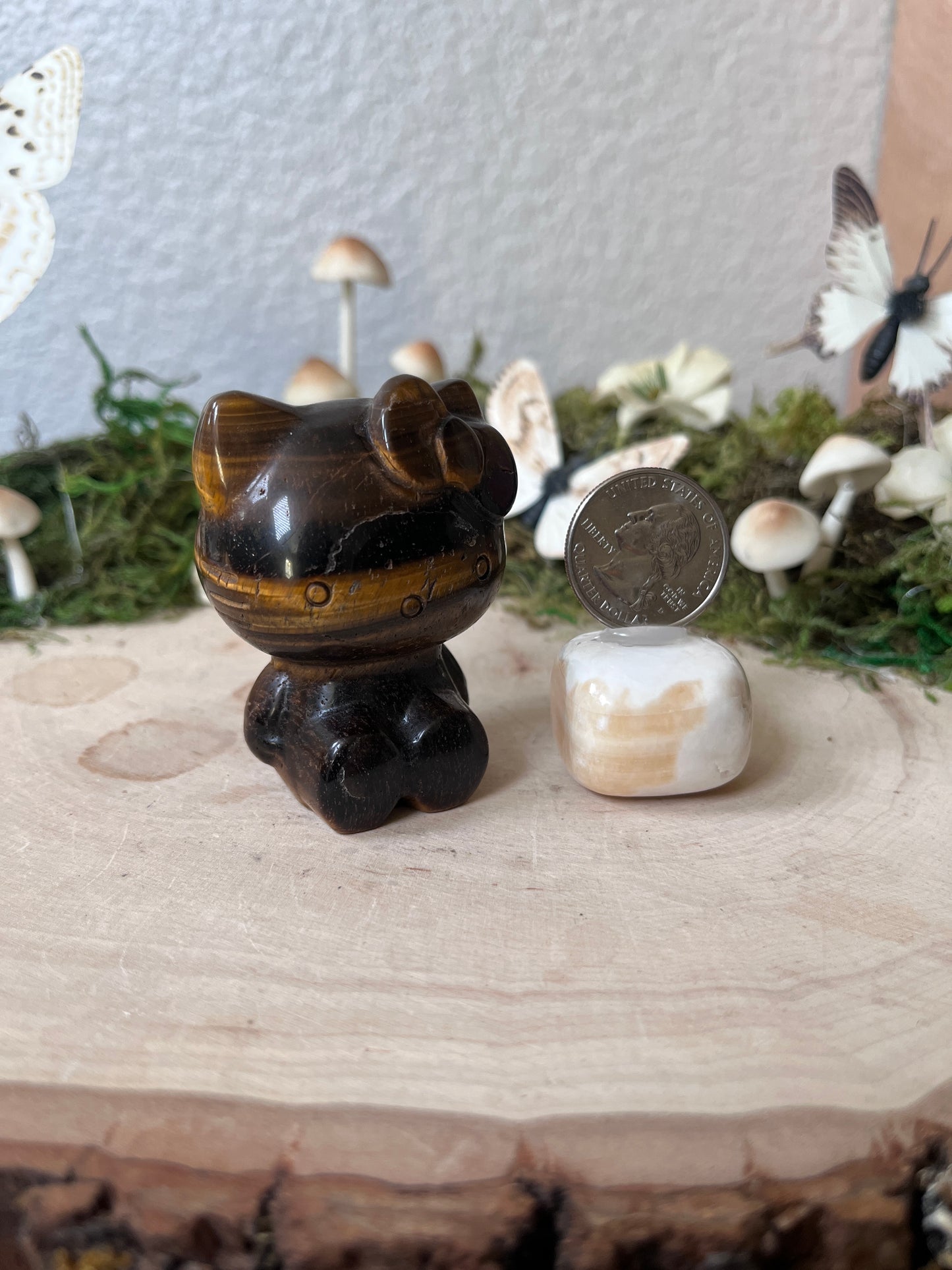 Tigers eye Hello Cat