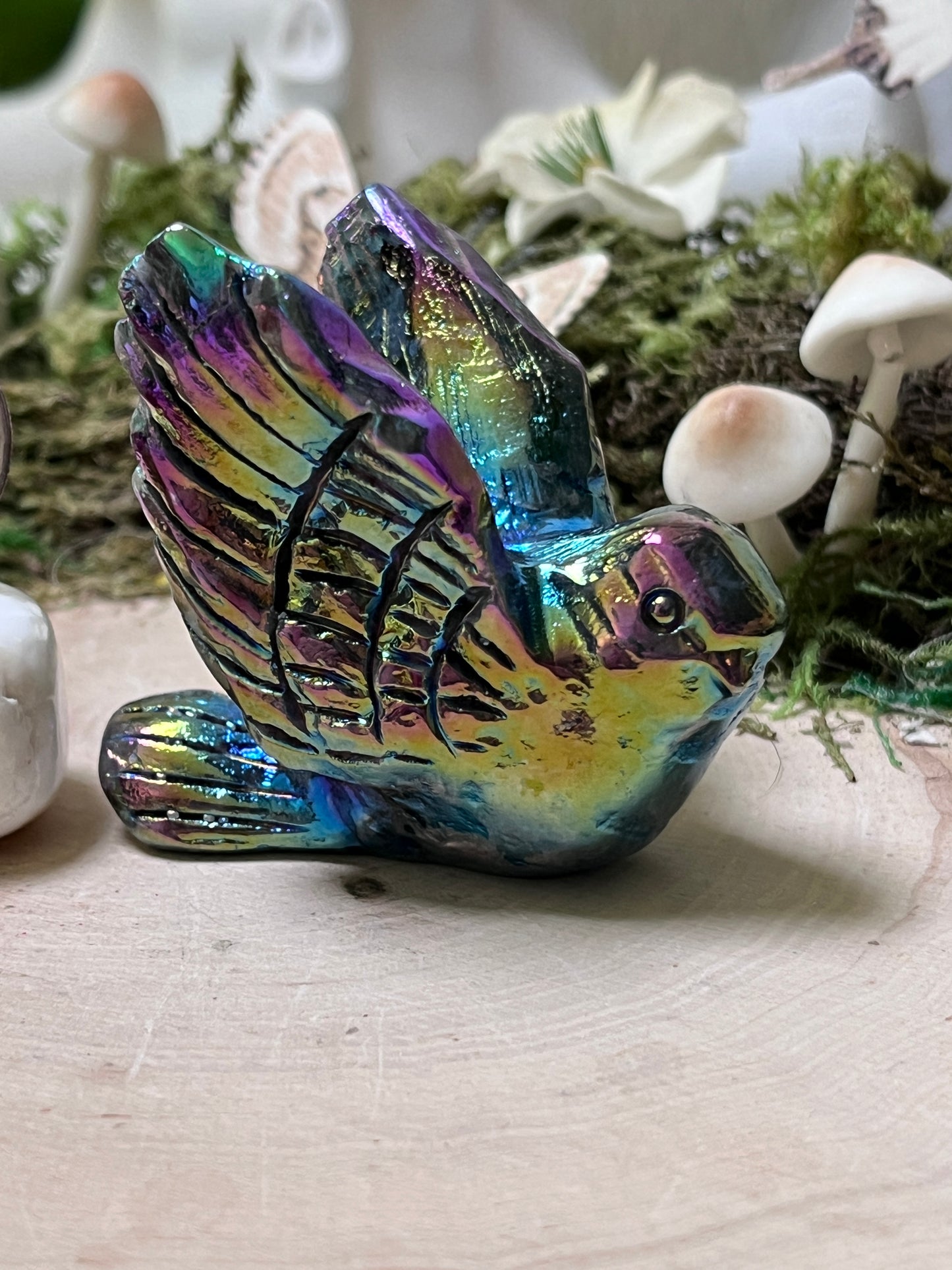 Aura Bird