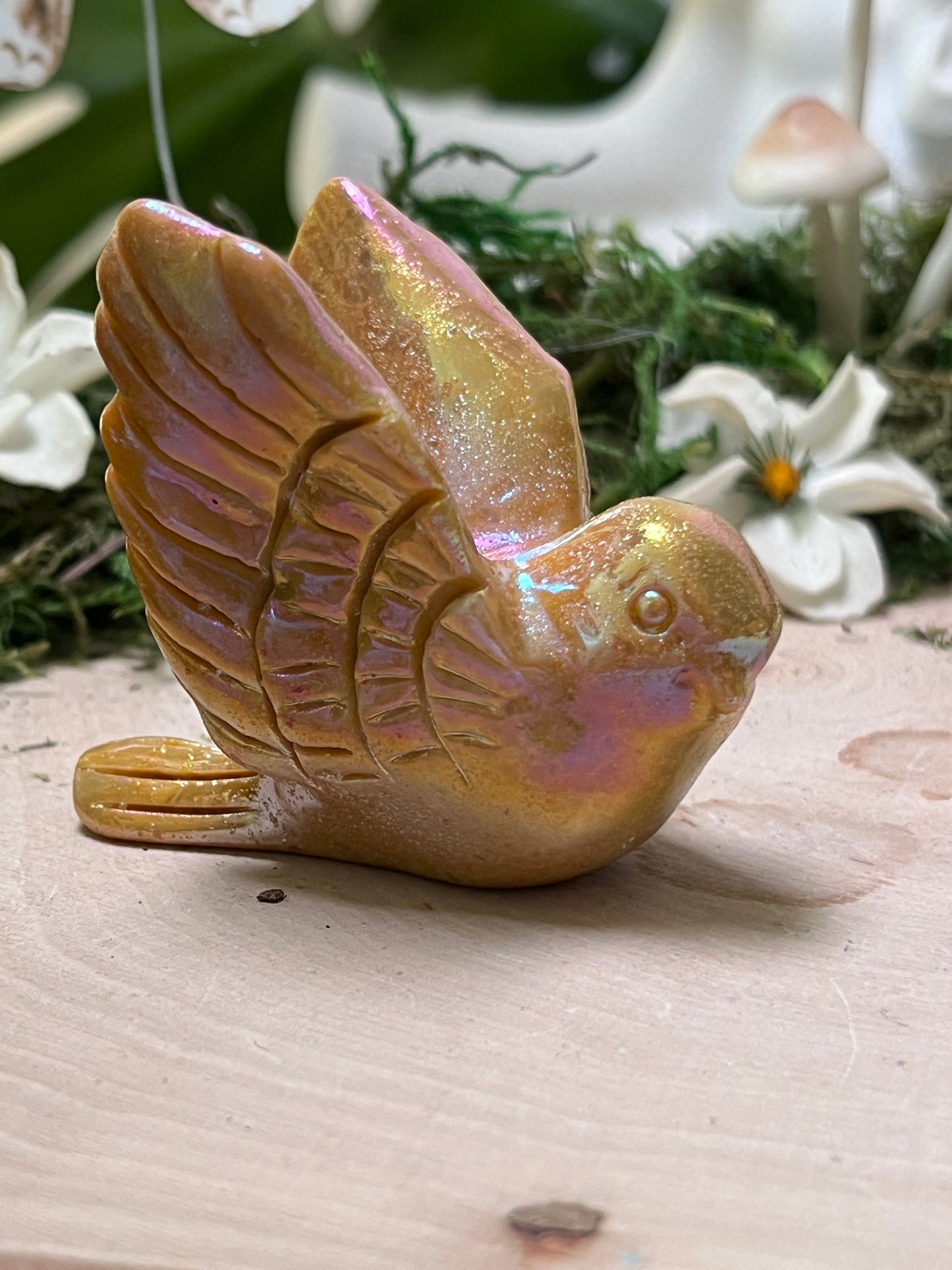 Aura Bird