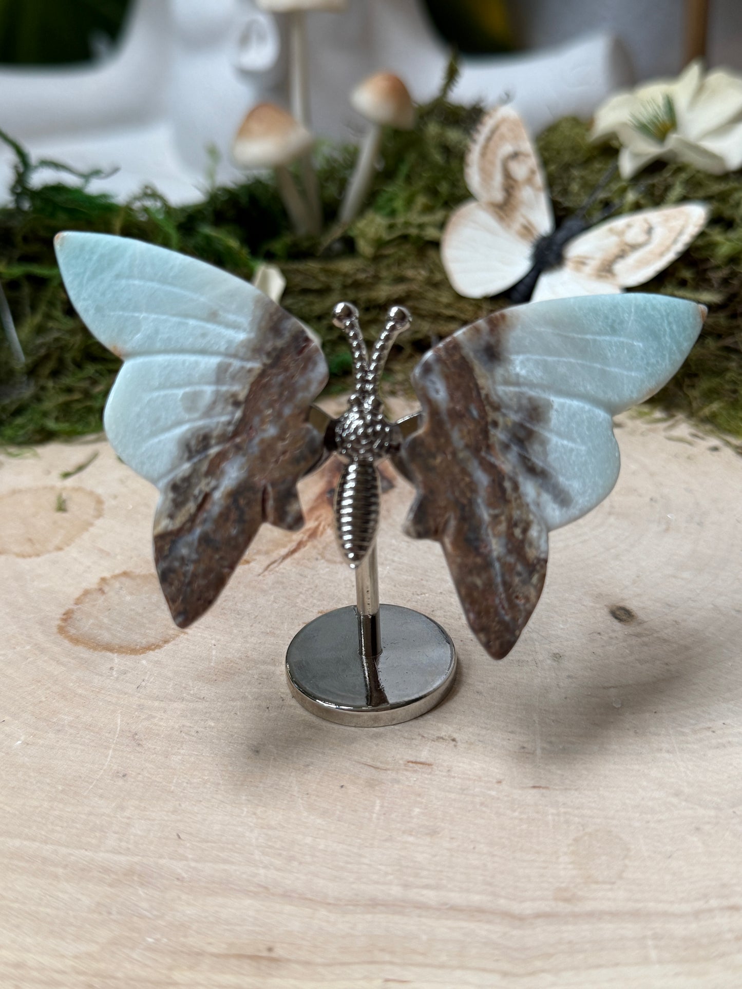 Butterfly on stand