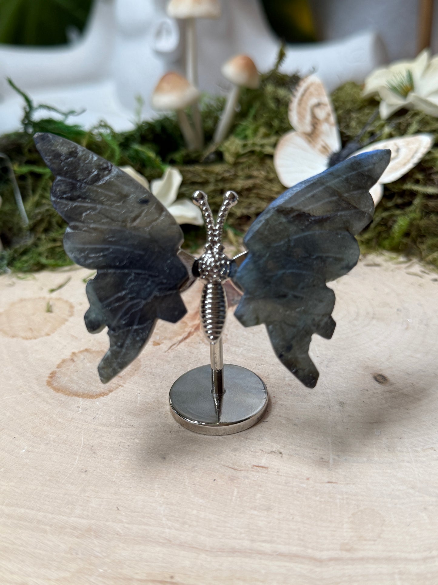 Butterfly on stand