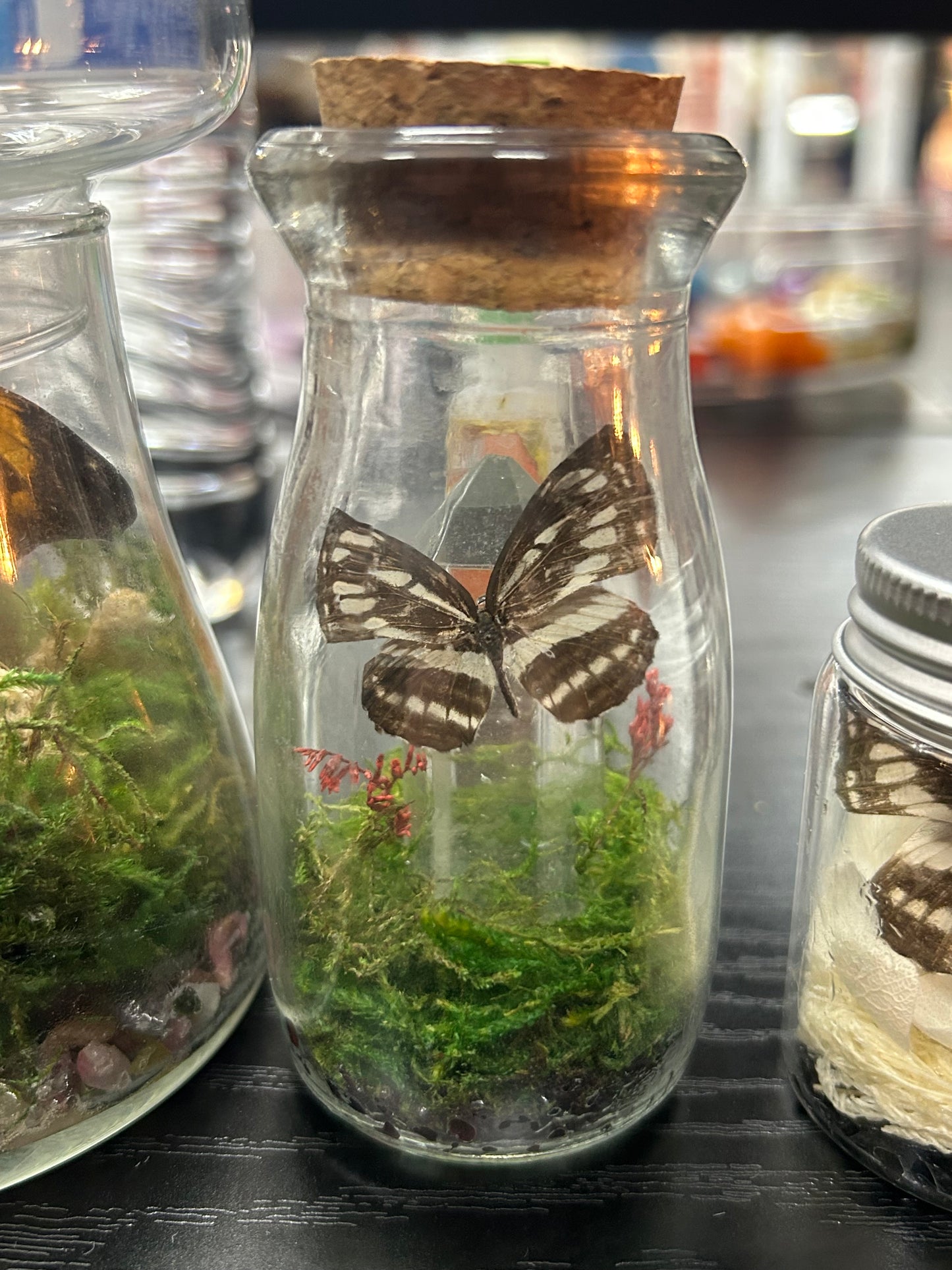 Butterfly Clear Quartz Terrarium