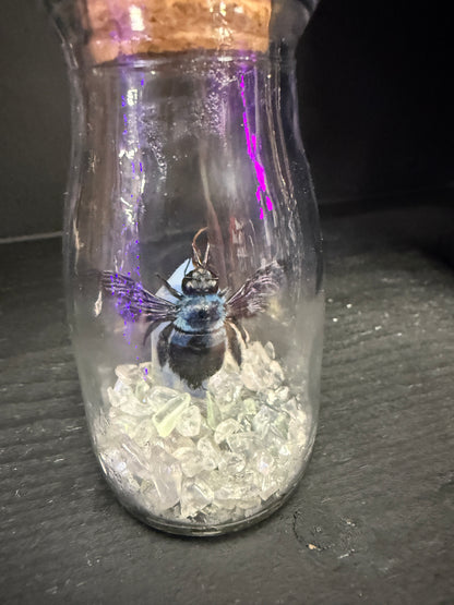 Blue Carpenter Bee with Opalite