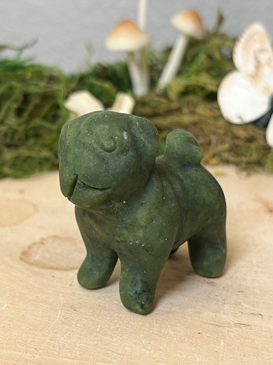 Pug