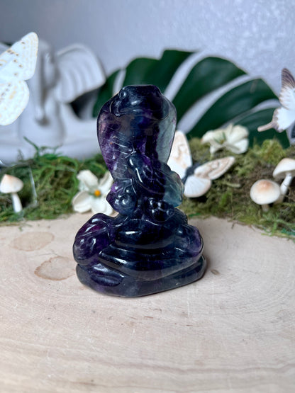Fluorite Cobra
