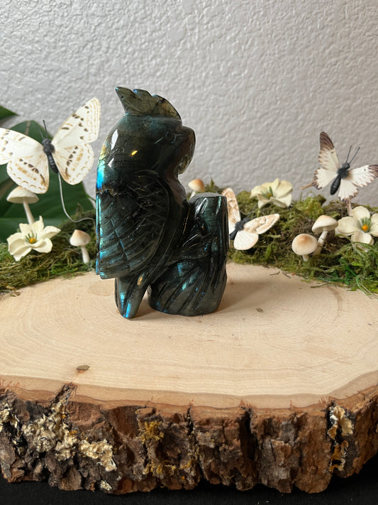 Labradorite Parrot