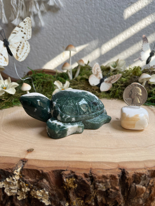 Moss Agate Sea Turtle