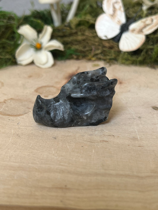 Dragon head