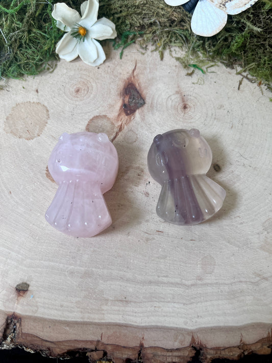Jellyfish