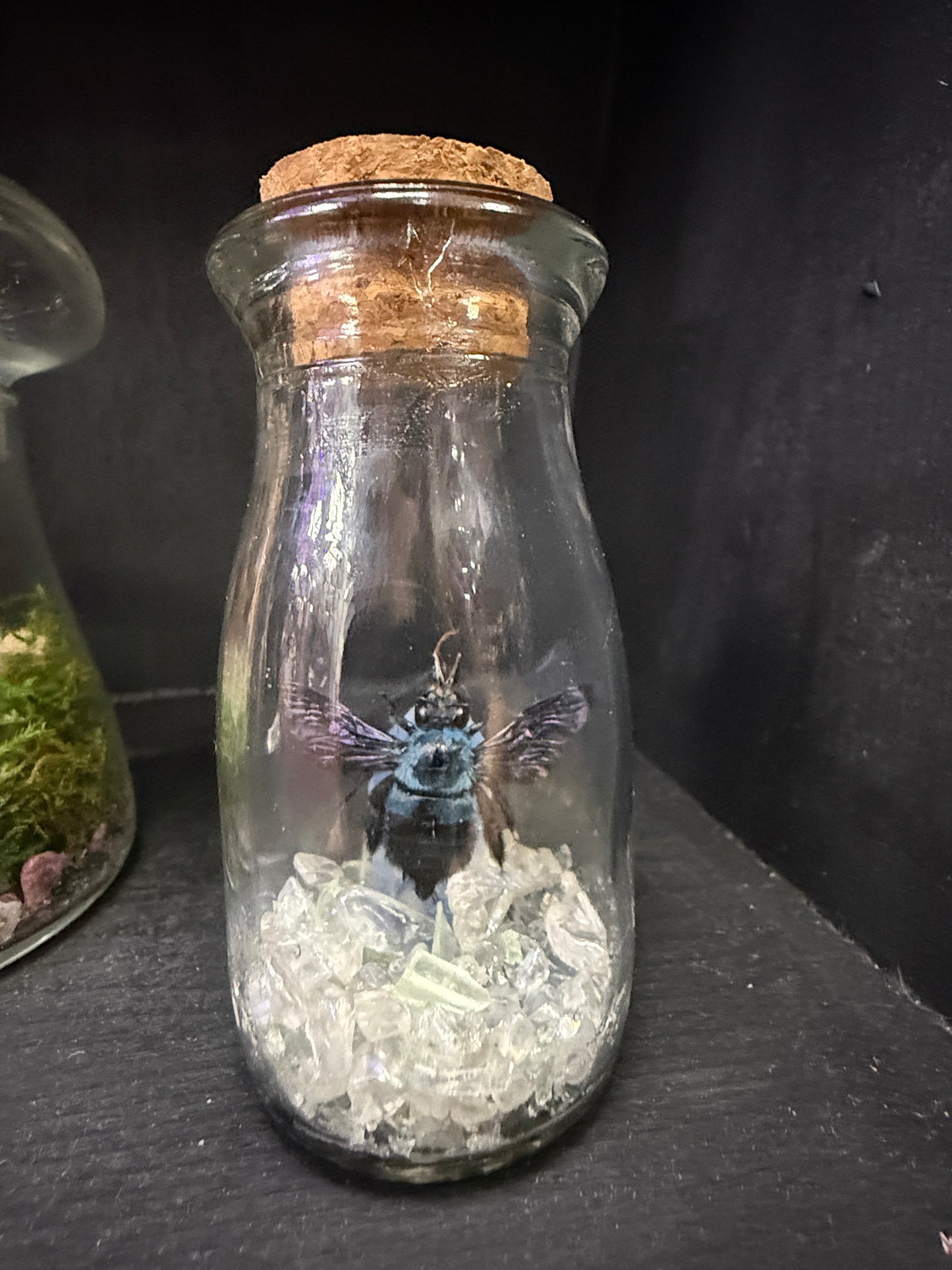 Blue Carpenter Bee with Opalite