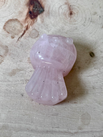 Jellyfish