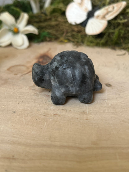 Turtle