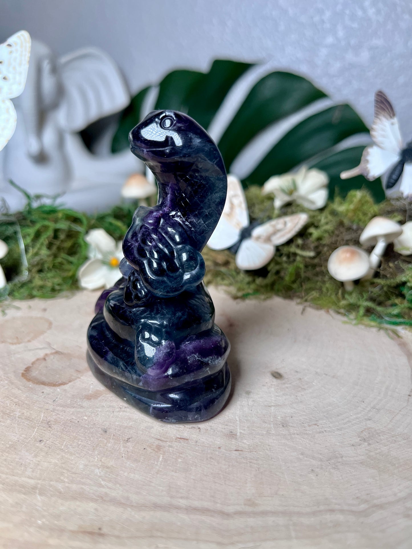 Fluorite Cobra