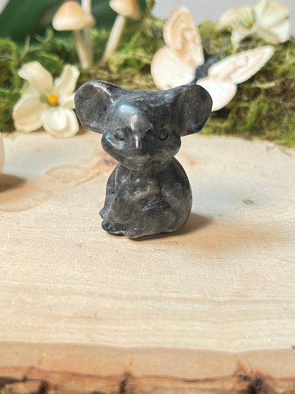 Koala