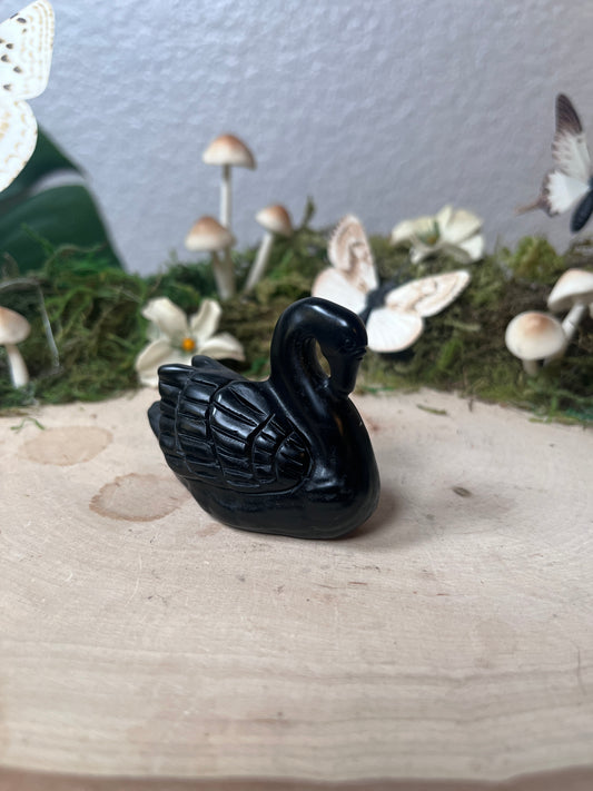 Obsidian swan