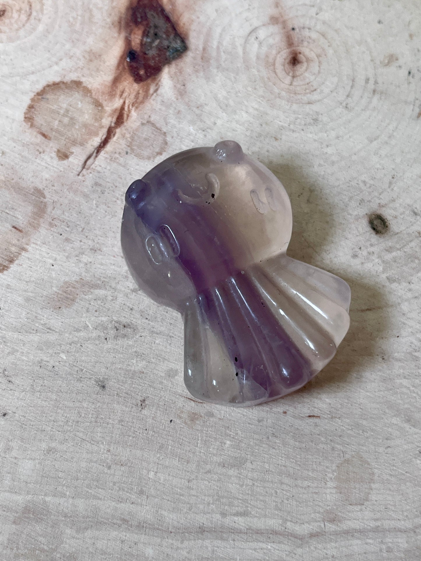 Jellyfish