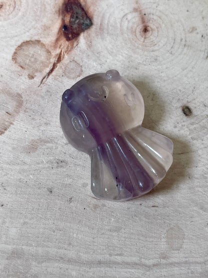 Jellyfish