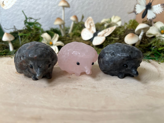 Hedgehog