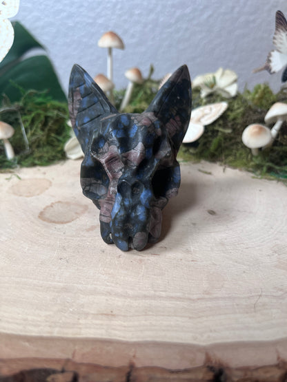 Que Sera Cat Skull
