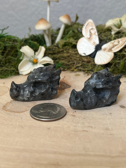 Dragon head