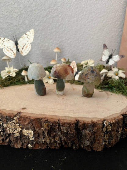 Gobi Agate Mushroom