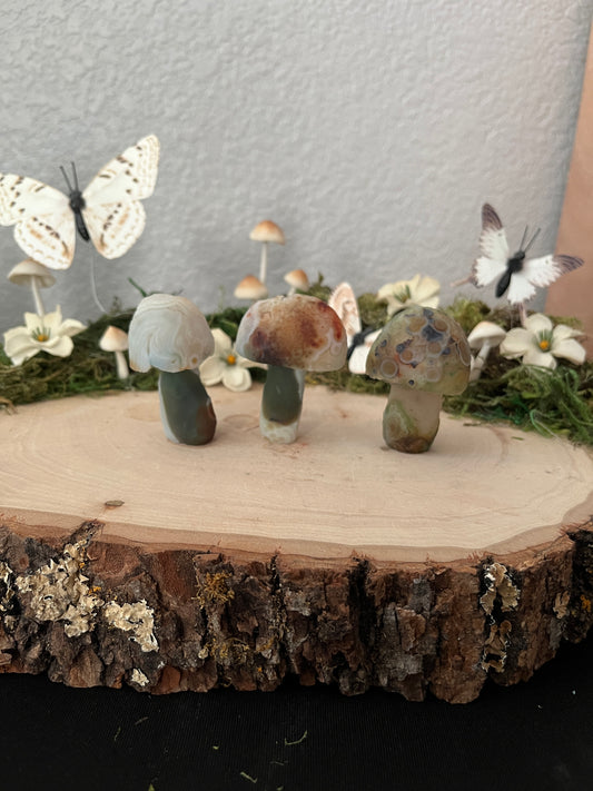 Gobi Agate Mushroom