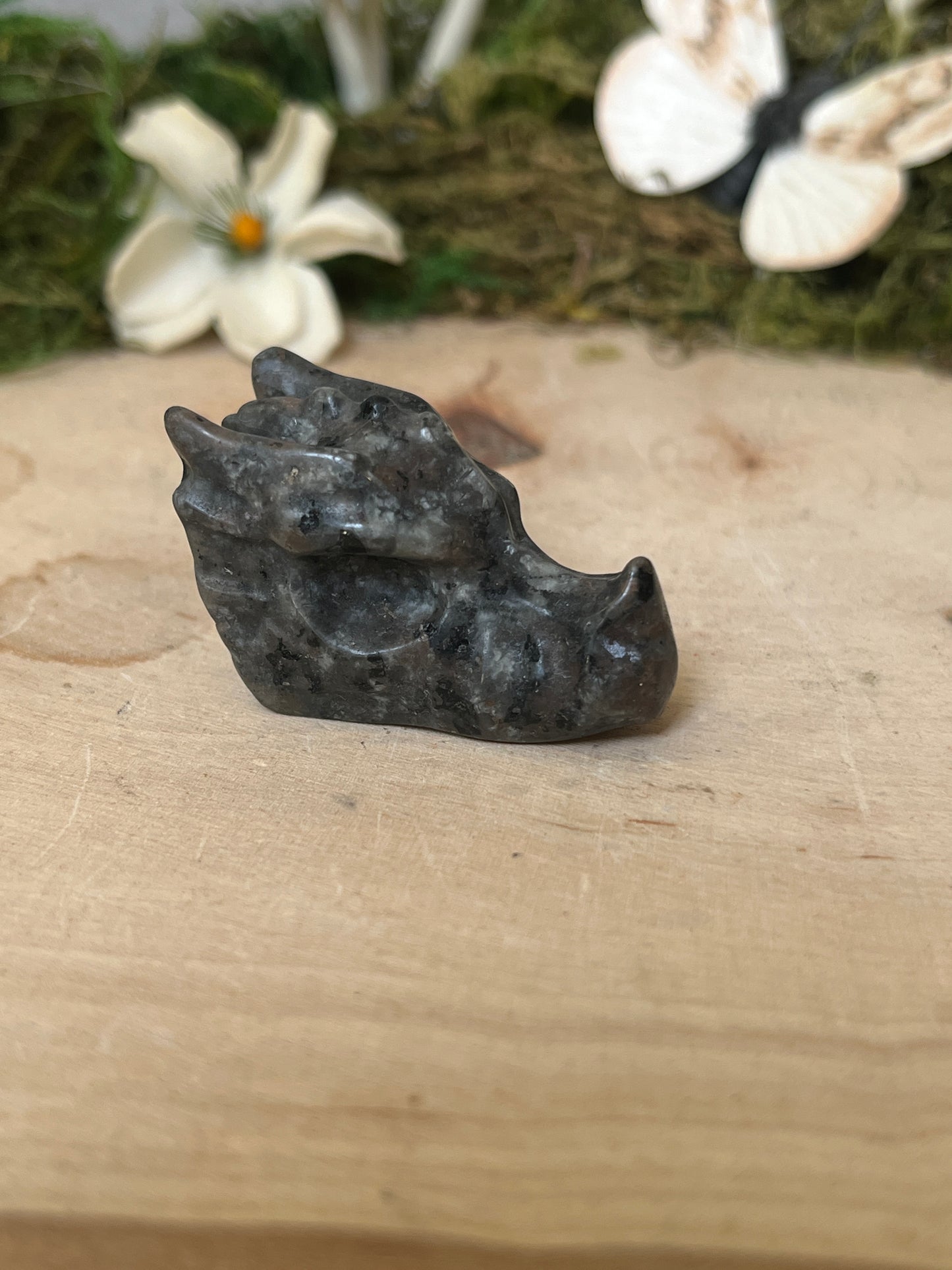 Dragon head