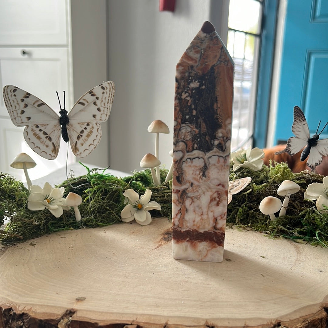 Chrysanthemum Jasper Point Wicked Obsidian