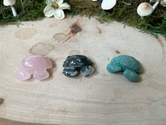Mini Mixed Crab