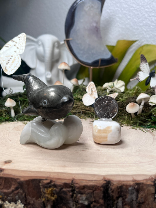 Pyrite Dolphin