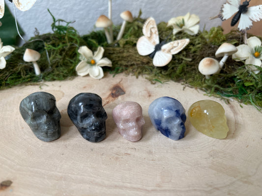 Mini Skull