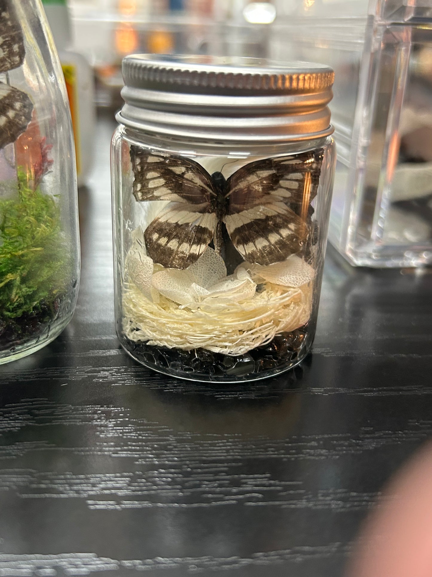 Butterfly Jar - Obsidian Gravel