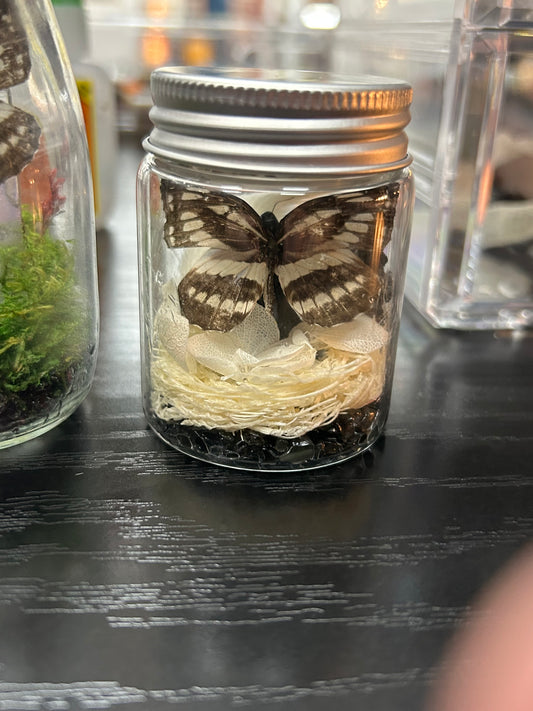 Butterfly Jar - Obsidian Gravel