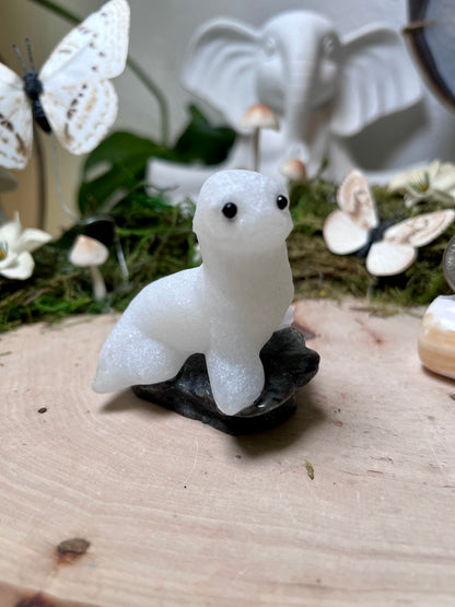 Sea Lion
