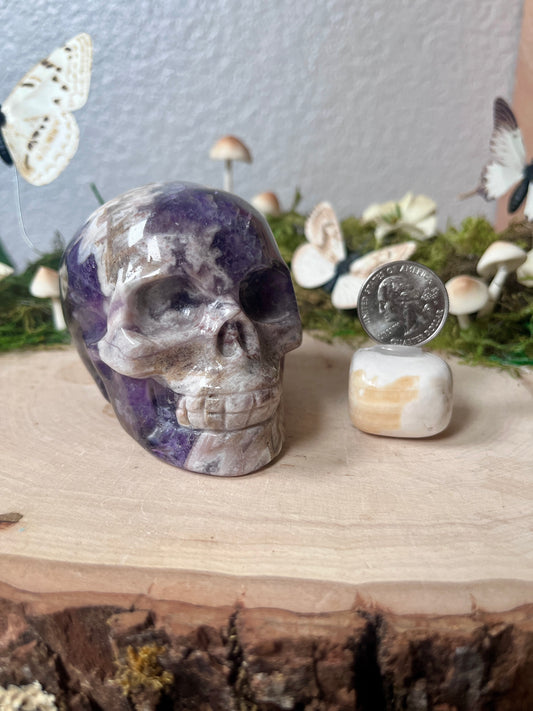 Chevron Amethyst skull
