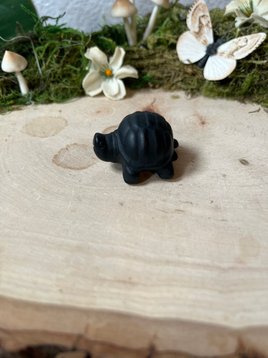 Obsidian Turtle