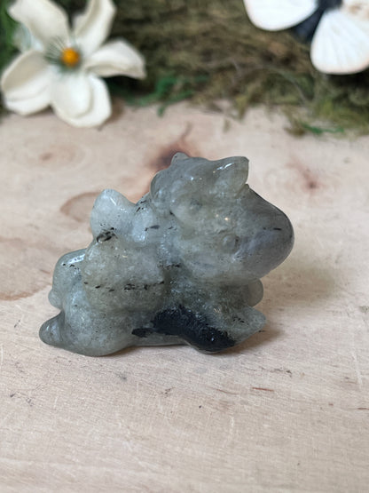 Mini Uni